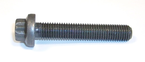 Vis de palier de vilebrequin ELRING 441.021 (X1)