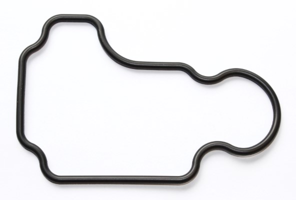 Moteur ELRING 915.513 (X1)