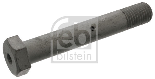 Axe de ressort FEBI BILSTEIN 48393 (X1)