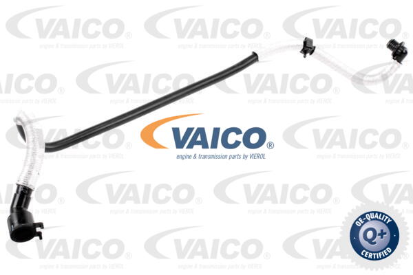 Tube pompe a  vide de frein VAICO V10-3636 (X1)