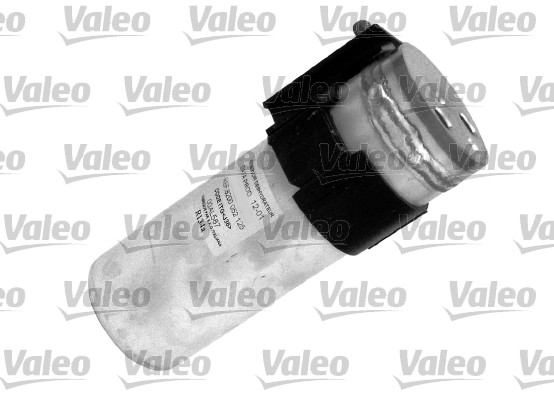 Bouteille deshydratante VALEO 509719 (X1)