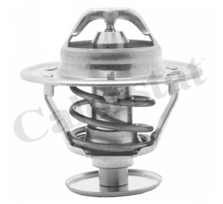 Thermostat/calorstat CALORSTAT BY VERNET TH1419.82J (X1)