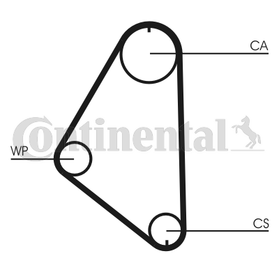 Courroie de distribution CONTITECH CT558 (X1)