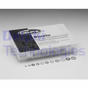 Kit de réparation DELPHI TSP0695011 (X1)