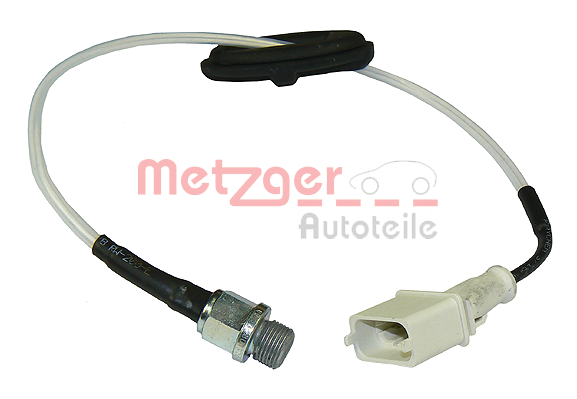 Capteur, température de la culasse METZGER 0905384 (X1)
